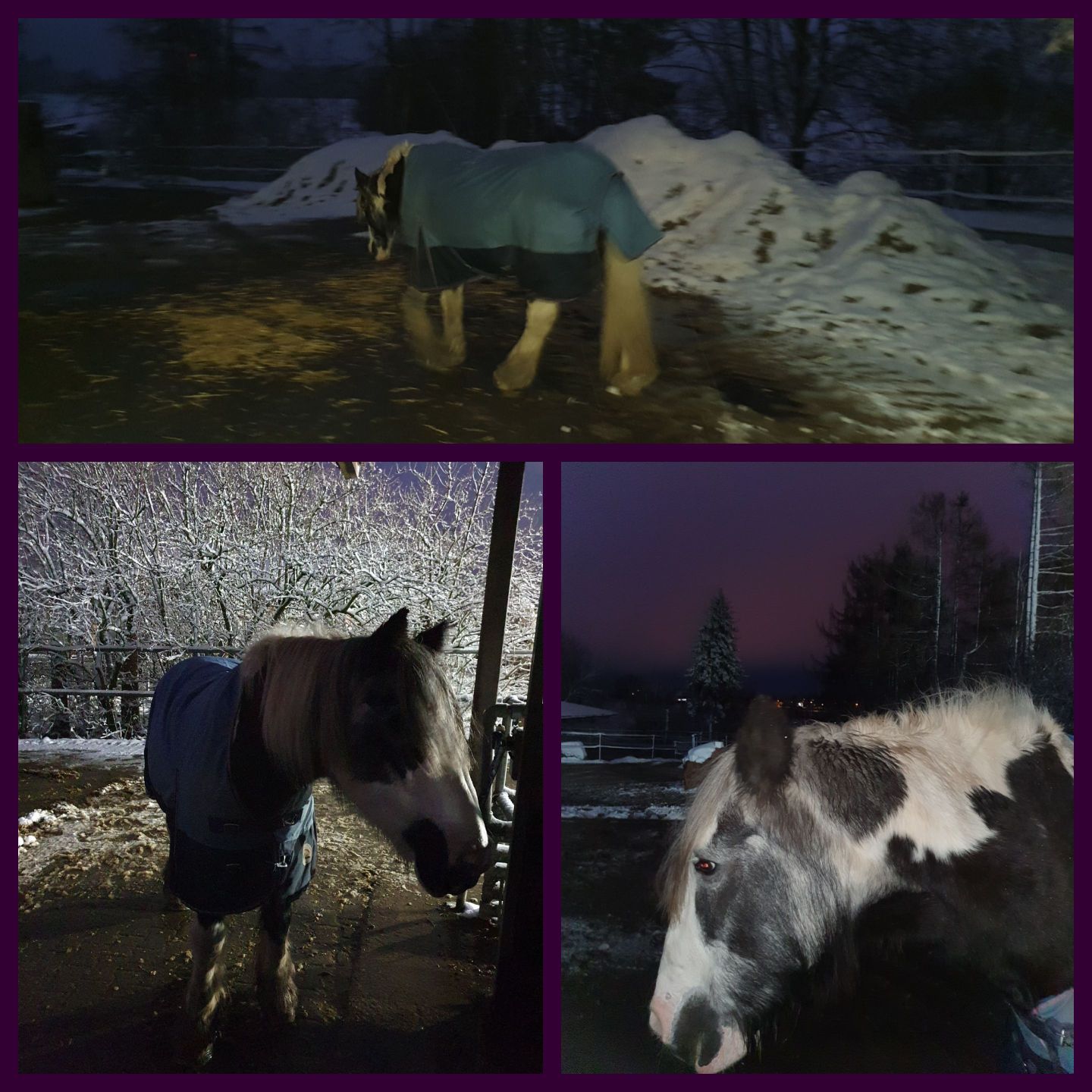 2023 11 November 616